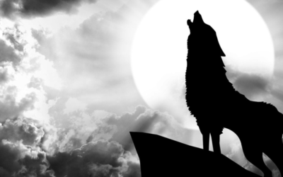 The Marketer Who Cried Wolf