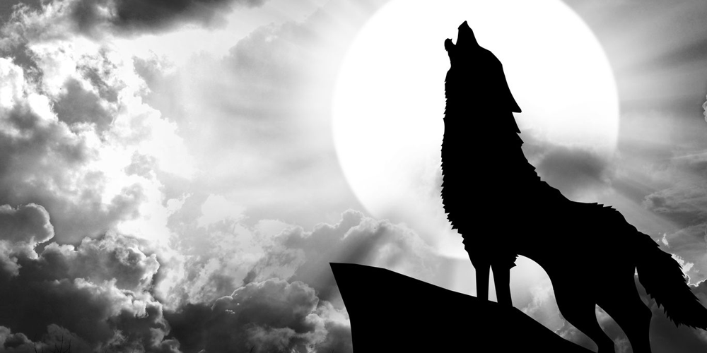 The Marketer Who Cried Wolf